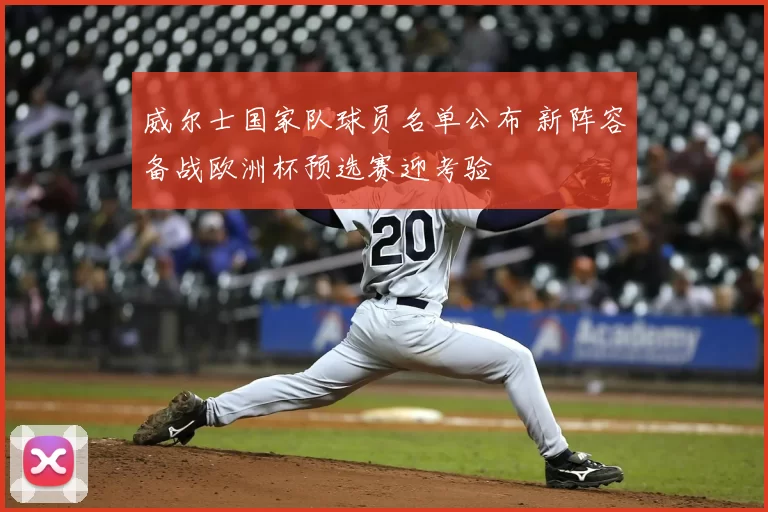 威尔士国家队球员名单公布 新阵容备战欧洲杯预选赛迎考验