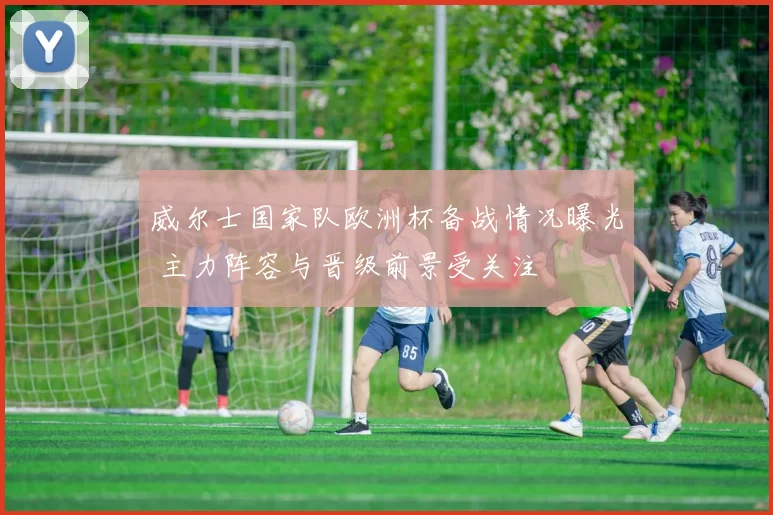 威尔士国家队欧洲杯备战情况曝光 主力阵容与晋级前景受关注