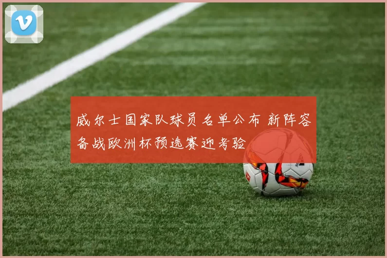 威尔士国家队球员名单公布 新阵容备战欧洲杯预选赛迎考验