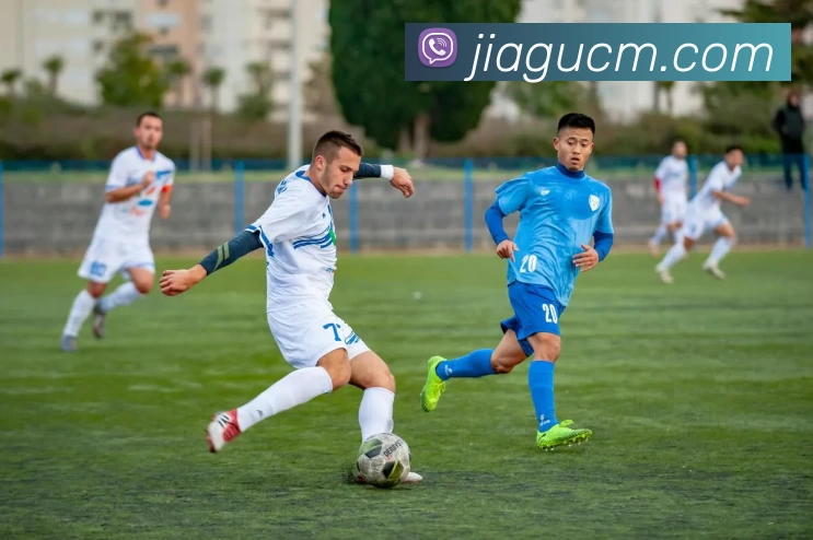 熊猫体育 - 中国官方认证体育赛事直播平台服务体系